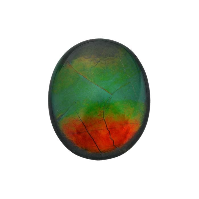 Ammolite - The Rainbow Colored Gemstone – KORITE